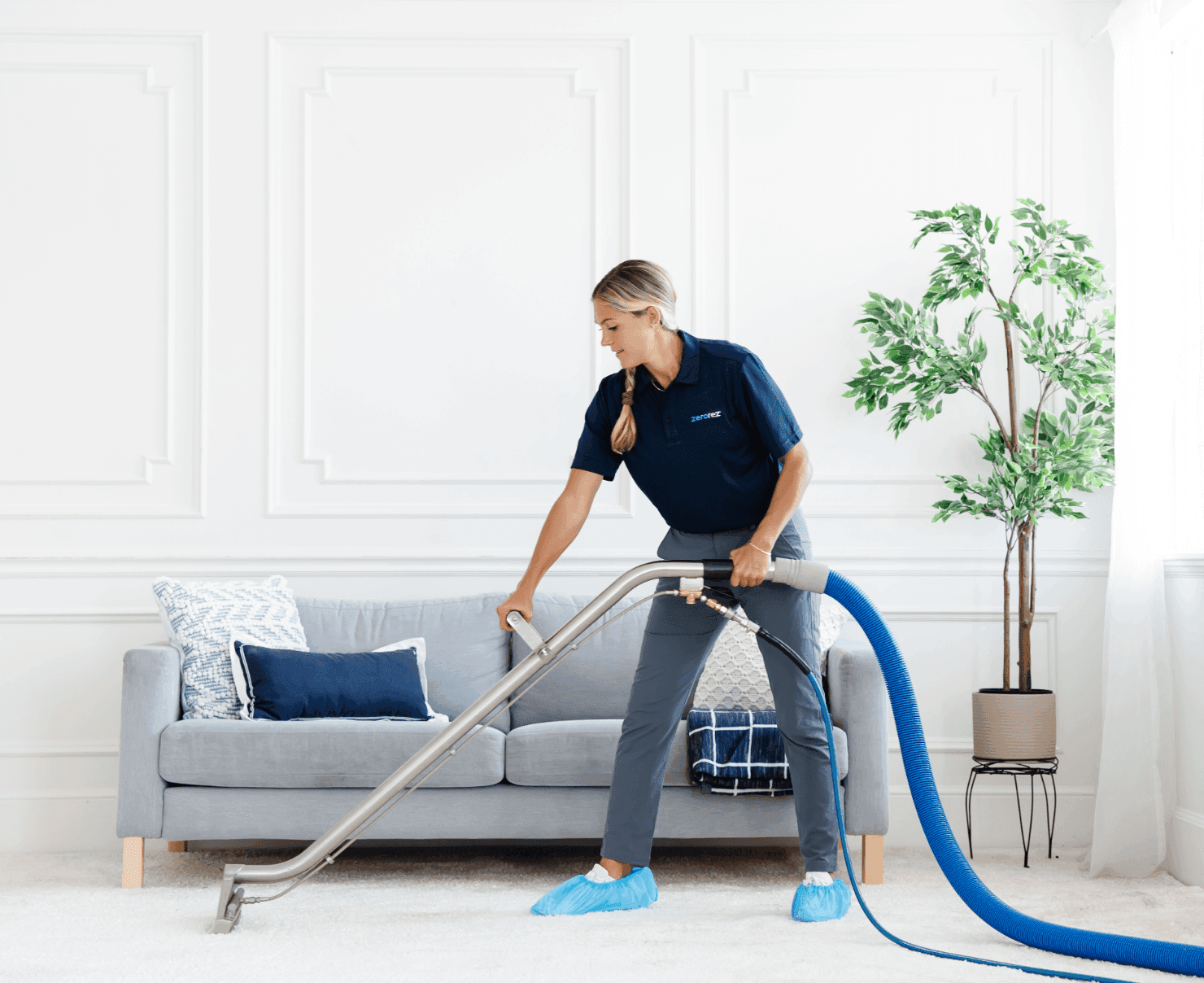 Professional Solutions for carpet cleaning north loop austin tx – Call The Steam Team Today