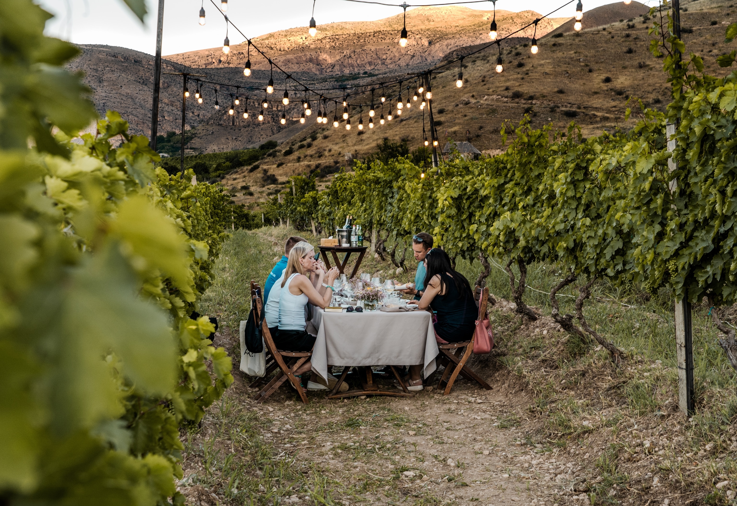 Exclusive Wine Tour Limo Service for Couples and Friends