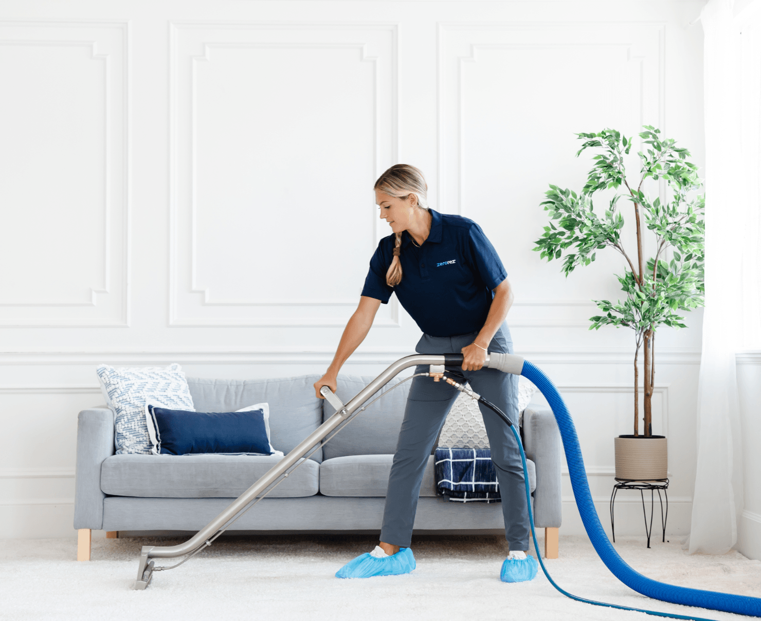 Professional Solutions for carpet cleaning north loop austin tx – Call The Steam Team Today