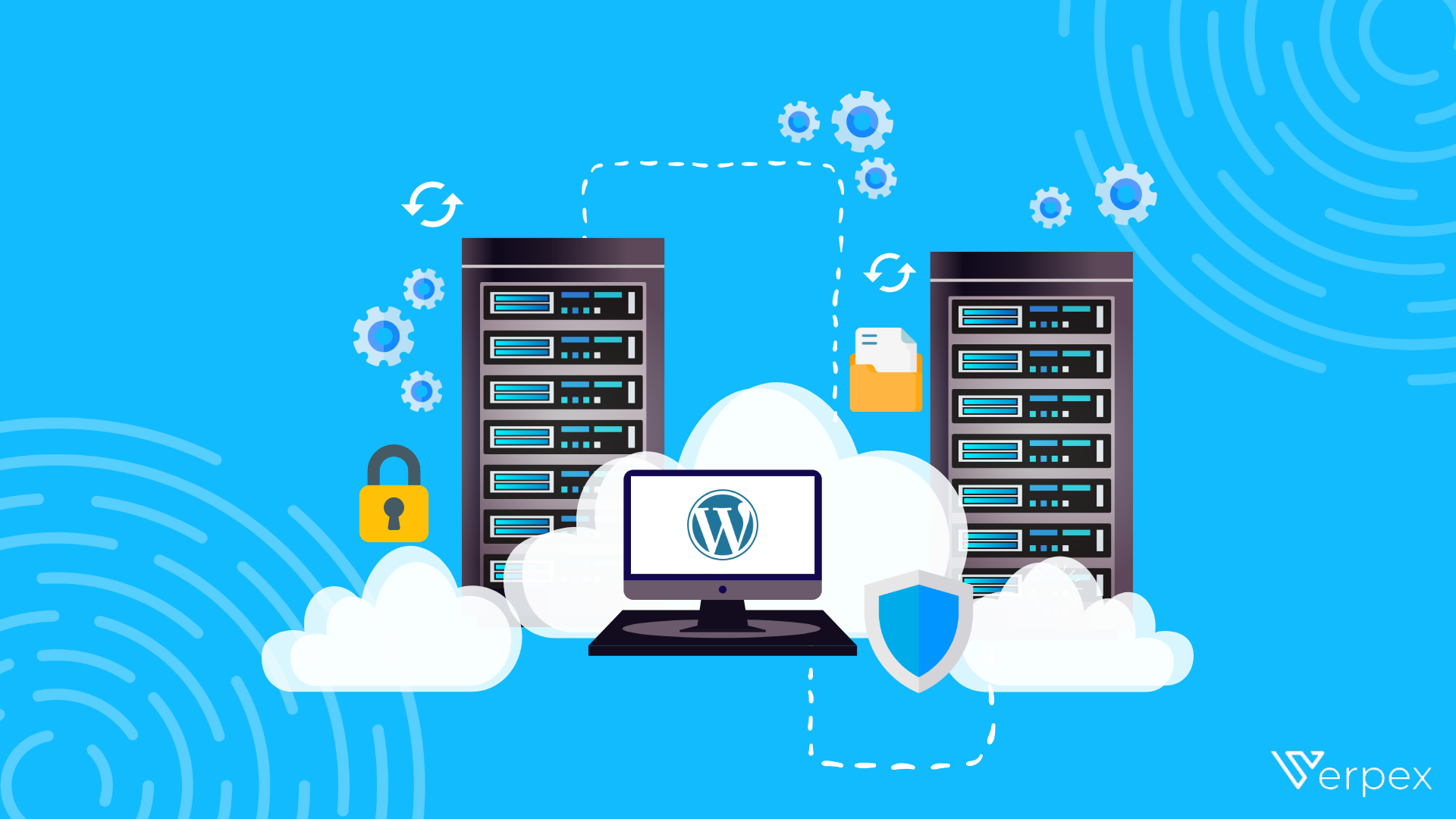 Scalable WordPress Website Solutions by VexNex