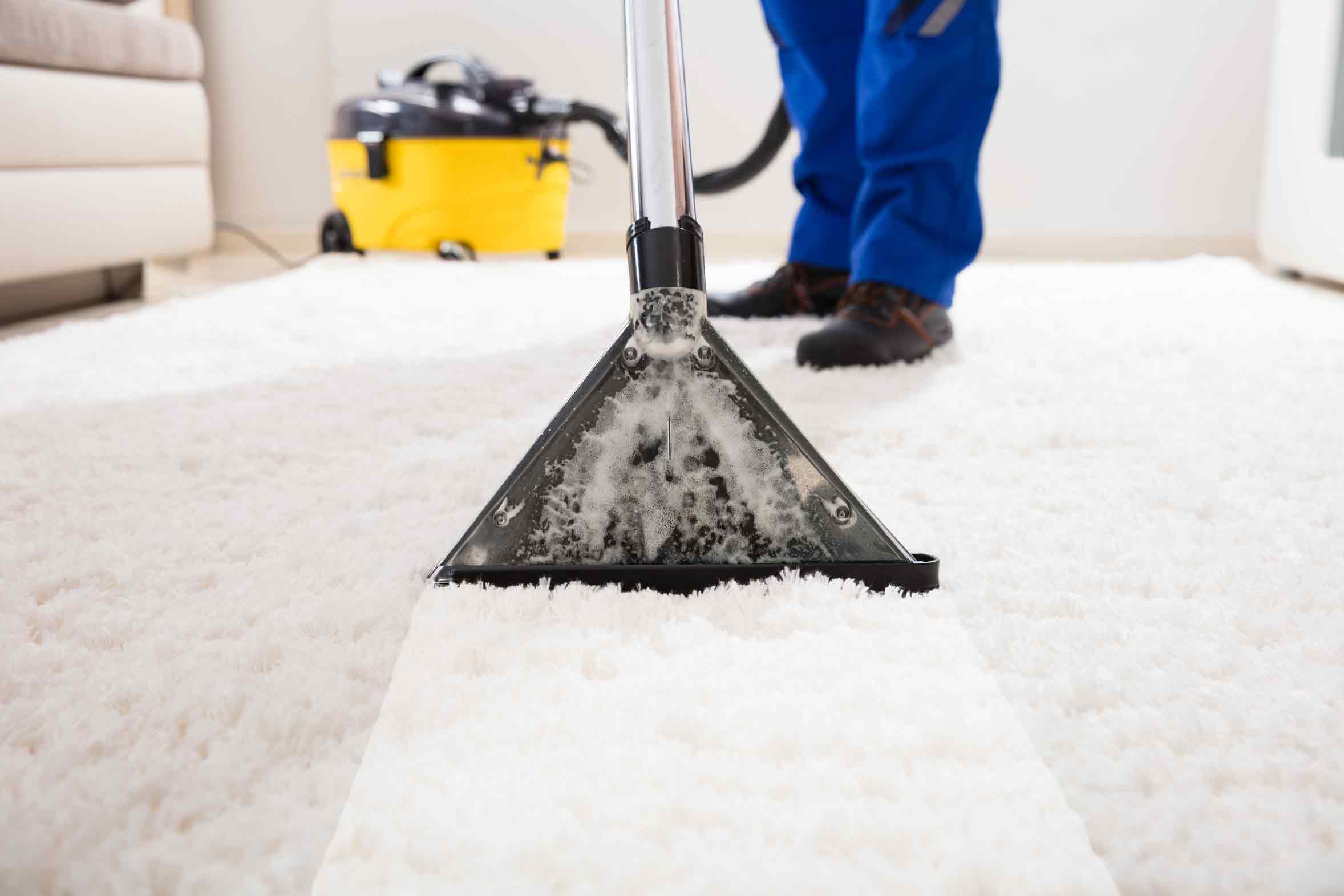 Professional Solutions for carpet cleaning north loop austin tx – Call The Steam Team Today