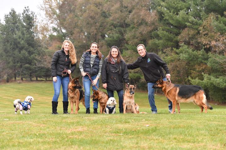 Difference Between Service Animal and Emotional Support What Every Dog Owner Should Know