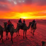 Agafay desert camel ride and dinner with a show, capturing a sunset backdrop and joyful riders.