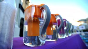 pur water filter vs brita